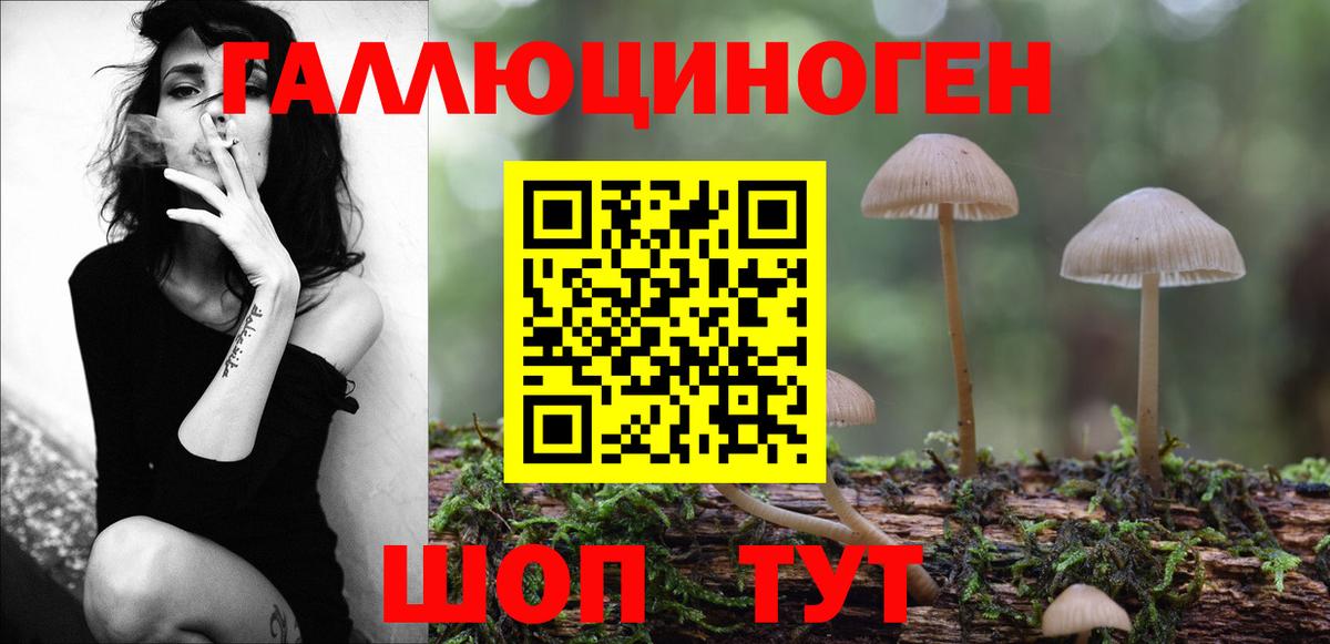 Алейск  магазин продажи   Вход с VPN  Псилоцибиновые грибы ЛСД 